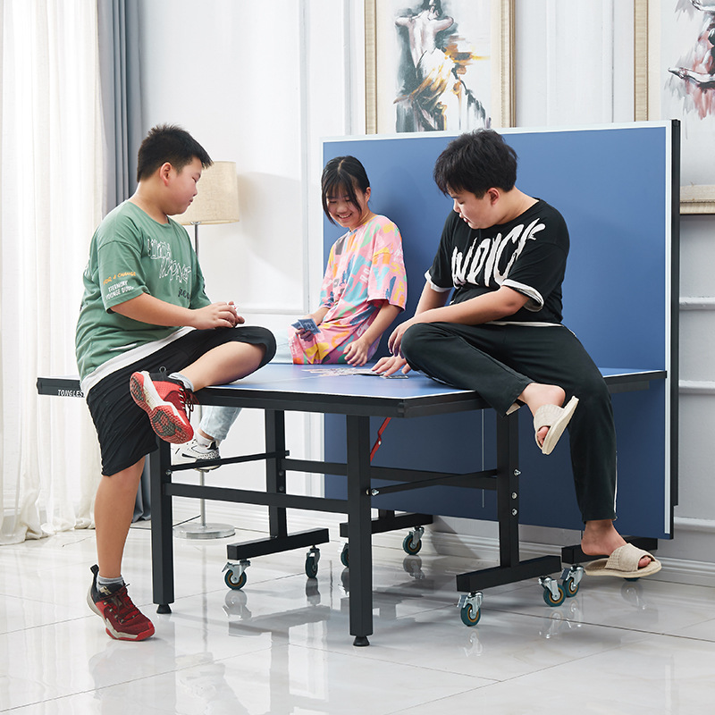 바퀴가 달린 접이식 실내 탁구대, 중간 크기, 가정용  - Table Tennis Folding Table 리뷰 및 가격
